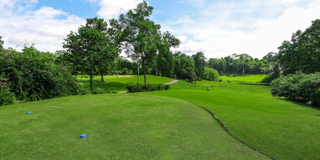 Z nine - A lush, green golf course with trimmed fairways, scattered trees, blue sky, and clouds. The golf club’s tee area with blue markers is in the foreground as a paved path curves through the scenic landscape.